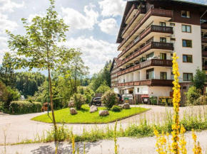 Stellar Apartment in Bad Goisern with Swimming Pool